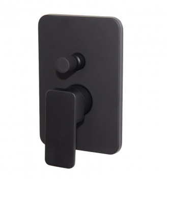 Shore Black Concealed Diverter Mixer